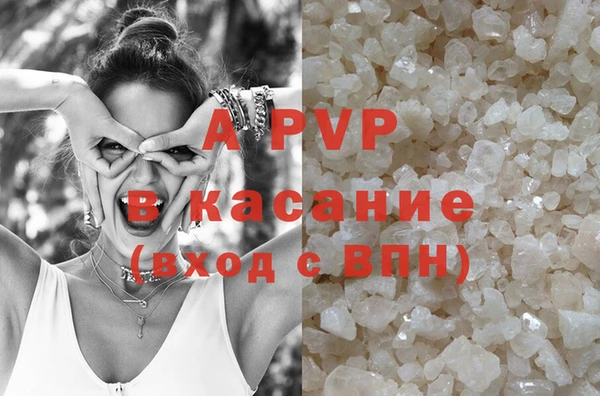 ГАЛЛЮЦИНОГЕННЫЕ ГРИБЫ Белокуриха