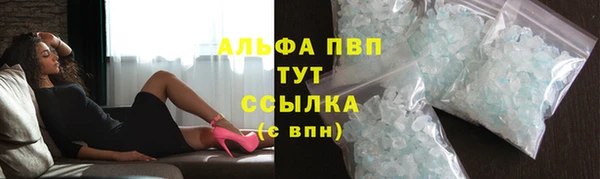 ГАЛЛЮЦИНОГЕННЫЕ ГРИБЫ Белокуриха