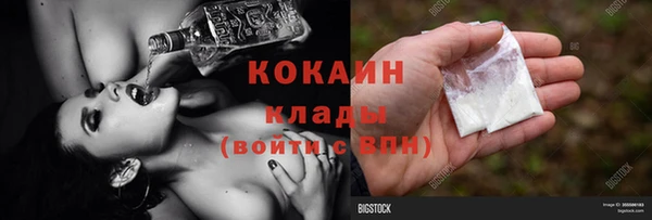 ГАЛЛЮЦИНОГЕННЫЕ ГРИБЫ Белокуриха