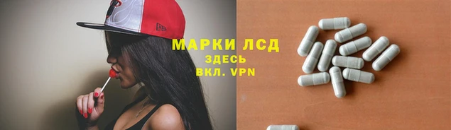 ГАЛЛЮЦИНОГЕННЫЕ ГРИБЫ Белокуриха