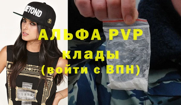 ГАЛЛЮЦИНОГЕННЫЕ ГРИБЫ Белокуриха