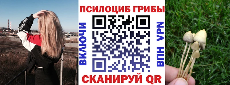Галлюциногенные грибы GOLDEN TEACHER  площадка Telegram  Верещагино 
