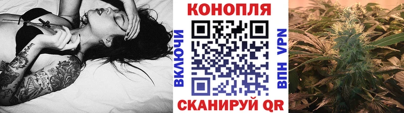 как найти   Верещагино  Каннабис индика 